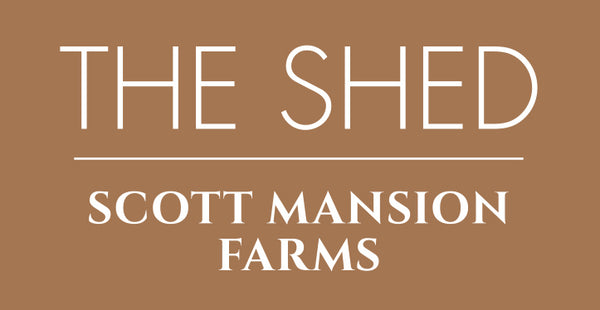 The Shed